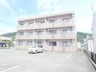 ミレニアムコートの画像