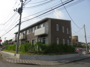 シャーメゾンSPRINGの画像