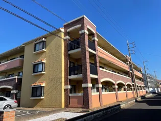 プリマヴェーラの画像