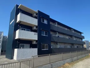 CNJ蓑原NO3の画像