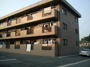 アルフレードの画像