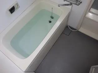 コンフォートM【1階】の風呂