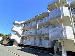 ウエルス光ヶ丘II【3階】の外観