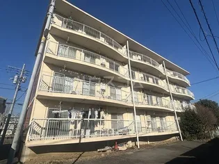 若宮ハイツ【3階】の外観