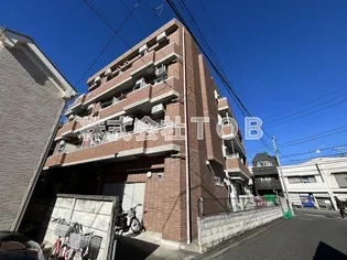 STRANGER IZUMIの画像