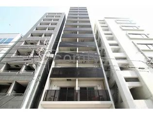 DORF21 SUMIKAの画像