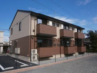 シェモアの画像