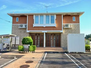 プラシードの画像