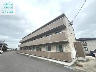 オッツ古賀島の画像