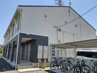 ボアソルチBの画像