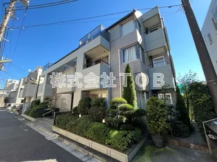 ガーデントキワの画像