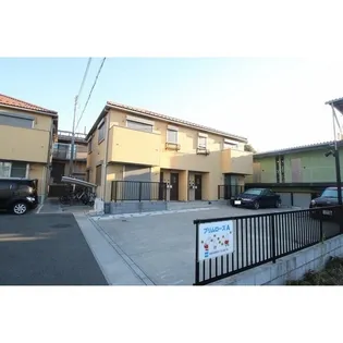 プリムローズAの画像
