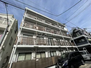 ステラマリスの画像