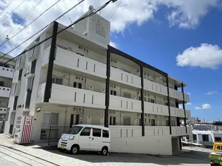 ココグレースの画像