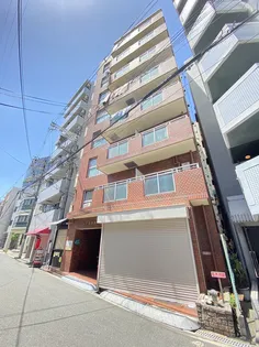 グレイスほまれの画像