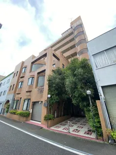 アヴァンティーノの画像