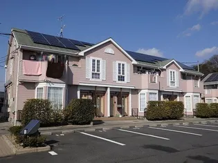 サンライズCの画像