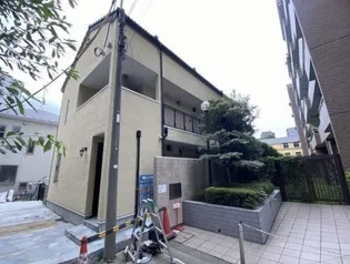 アカンサスの画像