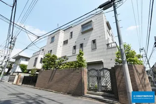 クリサンセマムの画像