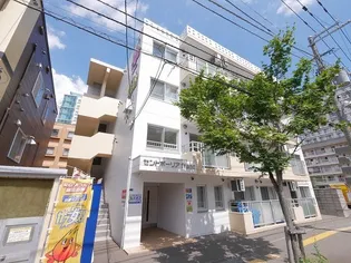 セントポーリアフランの画像