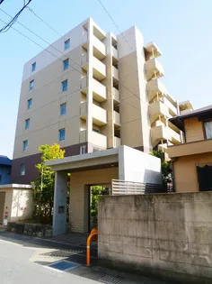 ライフ姪の浜の画像