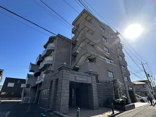 メイプルナインの画像