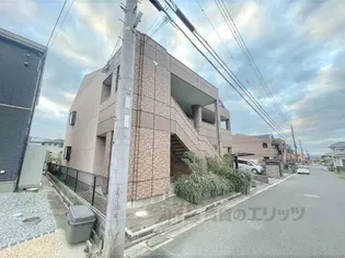 ローズマリーの画像