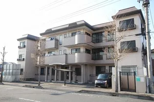 スピティ葛梅の画像