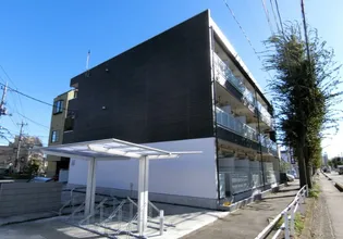 NB小手指の画像