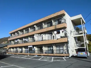 サンメゾン24 C棟【3階】の外観