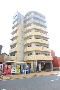 ヒット馬借BLDの画像