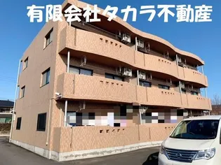 カーサティグルの画像