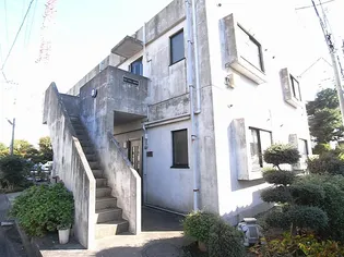 パイントゥリーハウス【2階】の外観