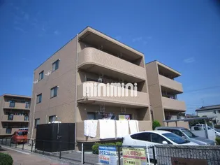 エボルシオンの画像