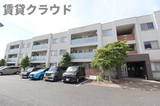 メープル グローブの画像