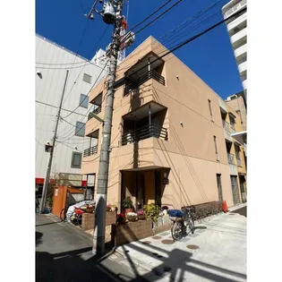 ティグレの画像