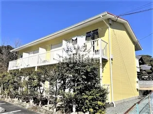 つきみそうの画像