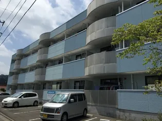 NORTH CITY50の画像