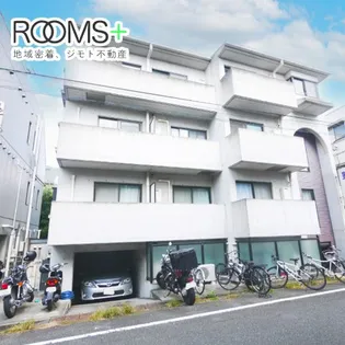 シダースの画像