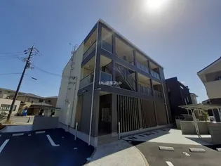 カモミール菅原東の画像