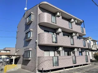 スプリーム寺本の画像