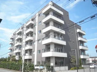カルム竹林の画像