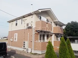スターライトの画像