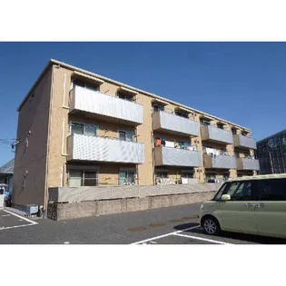 シャンテミヤの画像