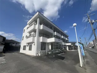 ブラウンパレスVの画像