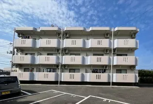 岡山県岡山市中区東川原【マンション】の外観