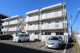 ロータスIIの画像