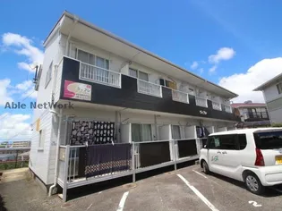 ヴィブレの画像