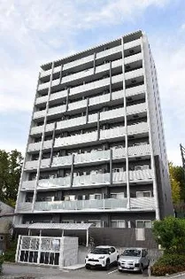 グランドコスモスの画像