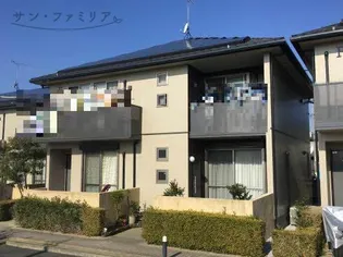 セルリアンコートの画像